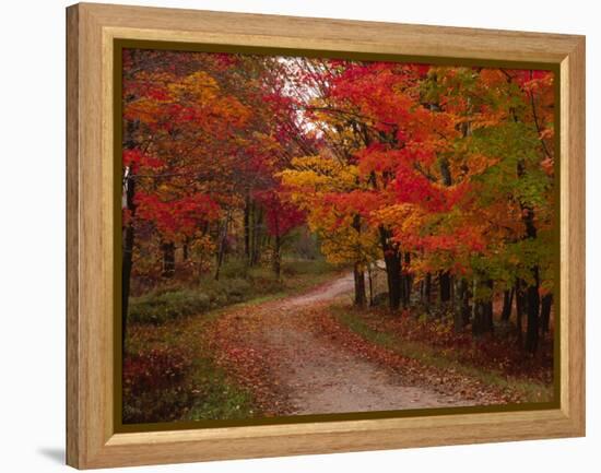 Country Road in the Fall, Vermont, USA-Charles Sleicher-Framed Premier Image Canvas