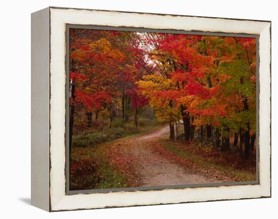 Country Road in the Fall, Vermont, USA-Charles Sleicher-Framed Premier Image Canvas