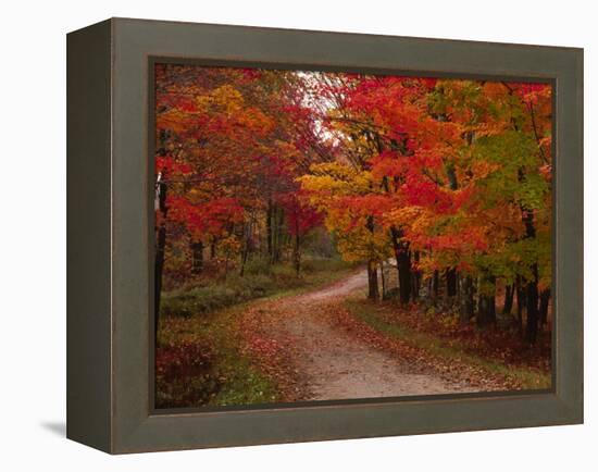 Country Road in the Fall, Vermont, USA-Charles Sleicher-Framed Premier Image Canvas