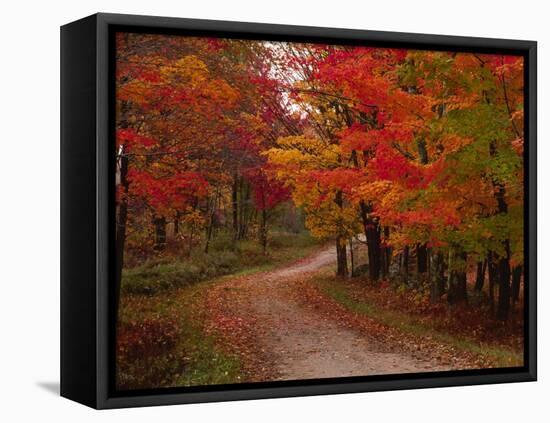 Country Road in the Fall, Vermont, USA-Charles Sleicher-Framed Premier Image Canvas