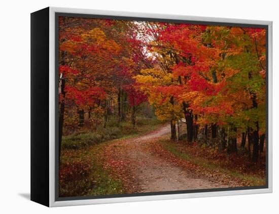 Country Road in the Fall, Vermont, USA-Charles Sleicher-Framed Premier Image Canvas