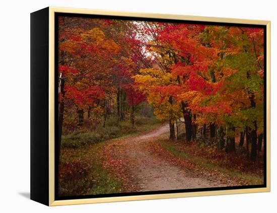 Country Road in the Fall, Vermont, USA-Charles Sleicher-Framed Premier Image Canvas