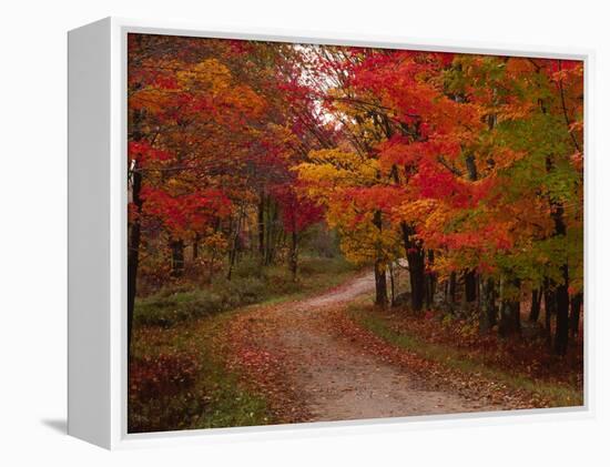 Country Road in the Fall, Vermont, USA-Charles Sleicher-Framed Premier Image Canvas