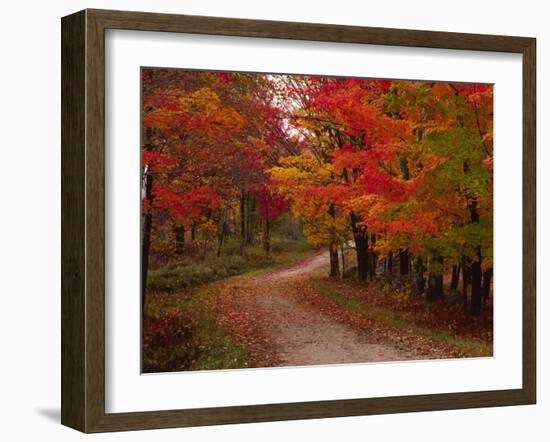 Country Road in the Fall, Vermont, USA-Charles Sleicher-Framed Photographic Print