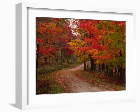 Country Road in the Fall, Vermont, USA-Charles Sleicher-Framed Photographic Print