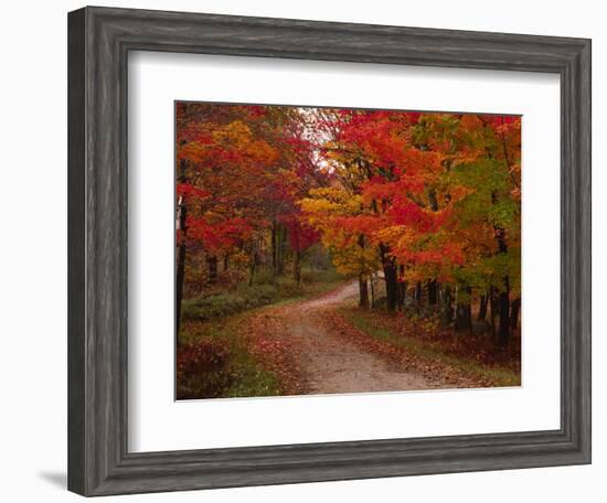 Country Road in the Fall, Vermont, USA-Charles Sleicher-Framed Photographic Print