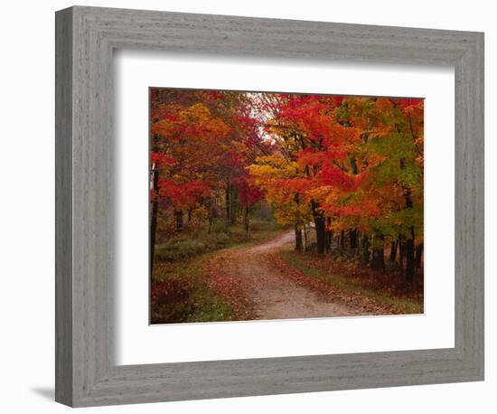 Country Road in the Fall, Vermont, USA-Charles Sleicher-Framed Photographic Print