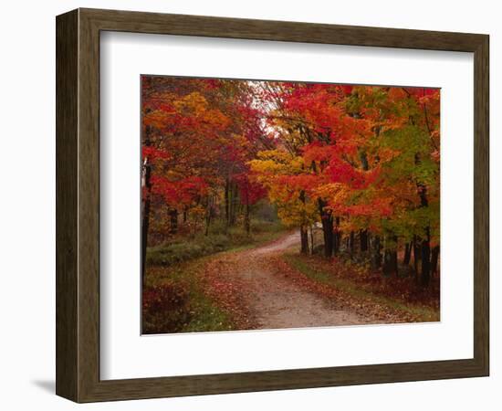 Country Road in the Fall, Vermont, USA-Charles Sleicher-Framed Photographic Print