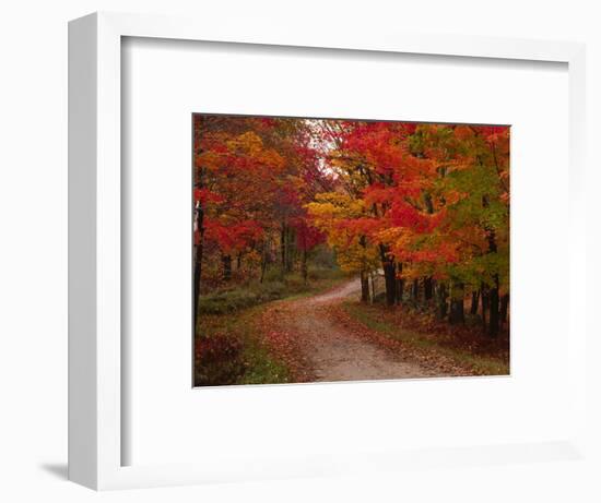 Country Road in the Fall, Vermont, USA-Charles Sleicher-Framed Photographic Print