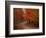 Country Road in the Fall, Vermont, USA-Charles Sleicher-Framed Photographic Print