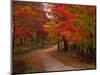 Country Road in the Fall, Vermont, USA-Charles Sleicher-Mounted Photographic Print