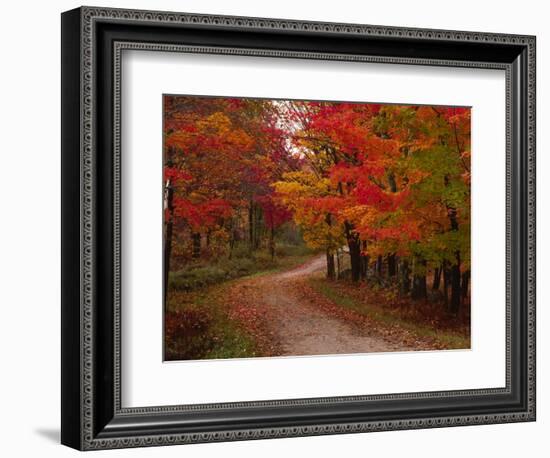 Country Road in the Fall, Vermont, USA-Charles Sleicher-Framed Photographic Print