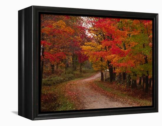 Country Road in the Fall, Vermont, USA-Charles Sleicher-Framed Premier Image Canvas