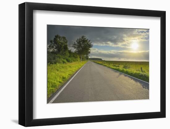 Country road in the morning with sun, Summer, Toenning, Schleswig-Holstein, Germany-Raimund Linke-Framed Photographic Print