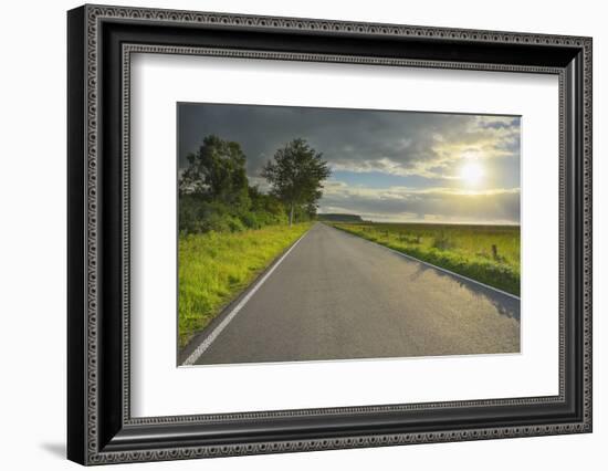 Country road in the morning with sun, Summer, Toenning, Schleswig-Holstein, Germany-Raimund Linke-Framed Photographic Print