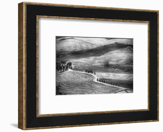 Country Road in Val D'Orcia, Tuscany-George Oze-Framed Photographic Print