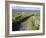 Country Road, Inishmore, Aran Islands, County Galway, Connacht, Republic of Ireland (Eire), Europe-Ken Gillham-Framed Photographic Print