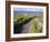 Country Road, Inishmore, Aran Islands, County Galway, Connacht, Republic of Ireland (Eire), Europe-Ken Gillham-Framed Photographic Print