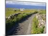 Country Road, Inishmore, Aran Islands, County Galway, Connacht, Republic of Ireland (Eire), Europe-Ken Gillham-Mounted Photographic Print