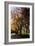 Country Road IV-Alan Hausenflock-Framed Photographic Print