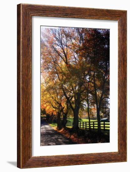 Country Road IV-Alan Hausenflock-Framed Photographic Print