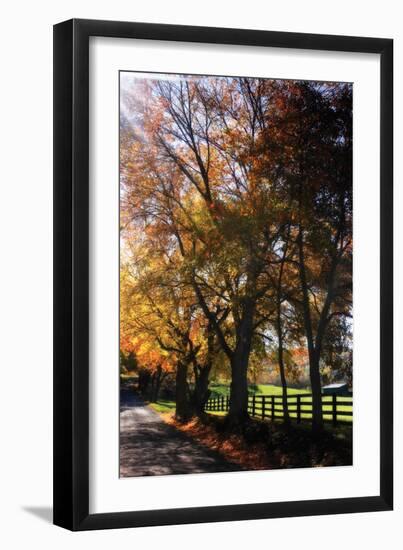 Country Road IV-Alan Hausenflock-Framed Photographic Print