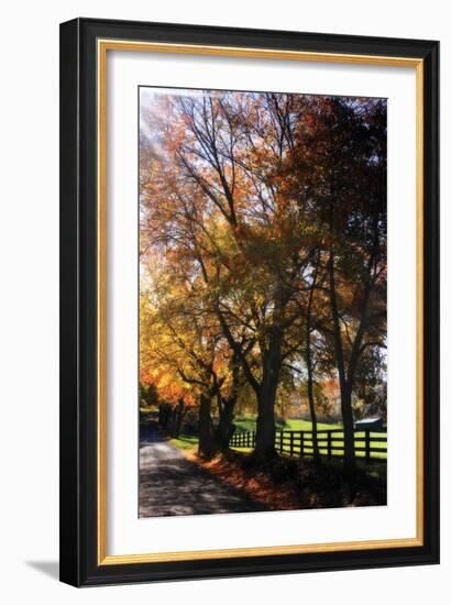 Country Road IV-Alan Hausenflock-Framed Photographic Print