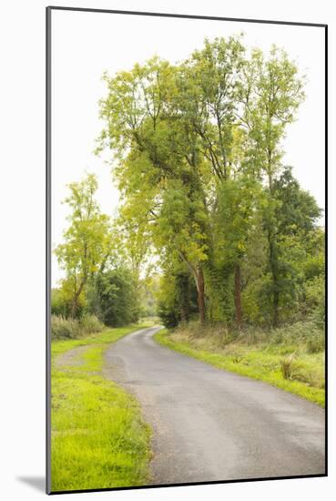 Country Road IV-Karyn Millet-Mounted Photographic Print