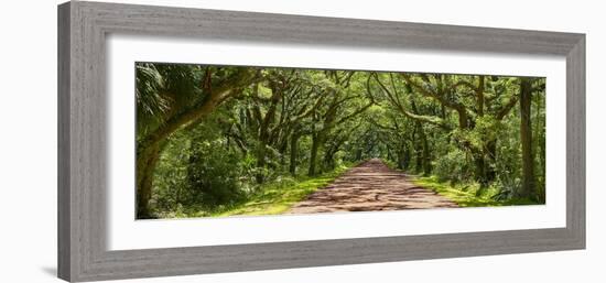 Country Road Panorama IV-James McLoughlin-Framed Photographic Print