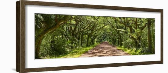 Country Road Panorama IV-James McLoughlin-Framed Photographic Print