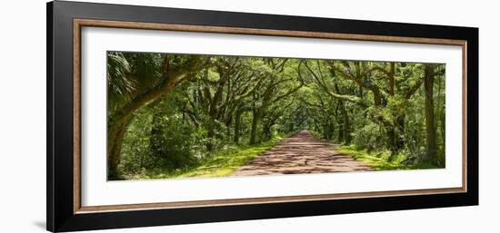 Country Road Panorama IV-James McLoughlin-Framed Photographic Print