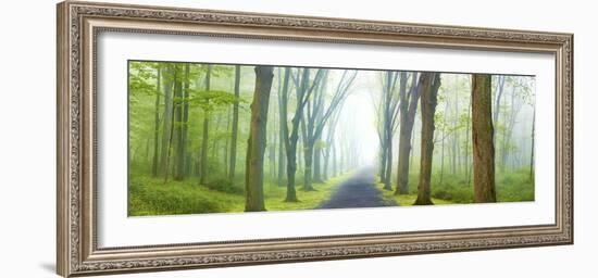 Country Road Panorama V-James McLoughlin-Framed Photographic Print