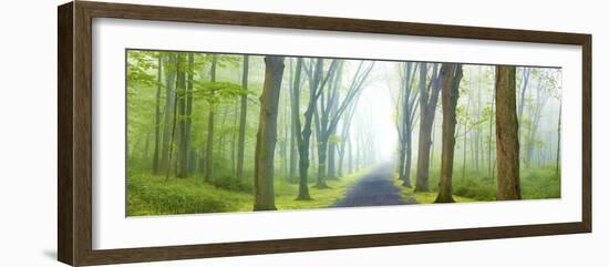 Country Road Panorama V-James McLoughlin-Framed Photographic Print