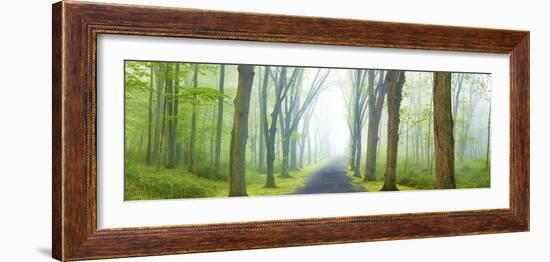 Country Road Panorama V-James McLoughlin-Framed Photographic Print