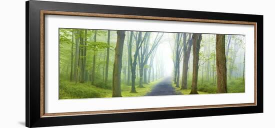 Country Road Panorama V-James McLoughlin-Framed Photographic Print