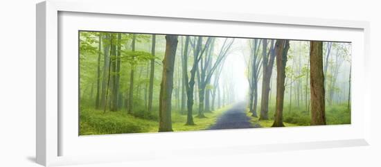 Country Road Panorama V-James McLoughlin-Framed Photographic Print