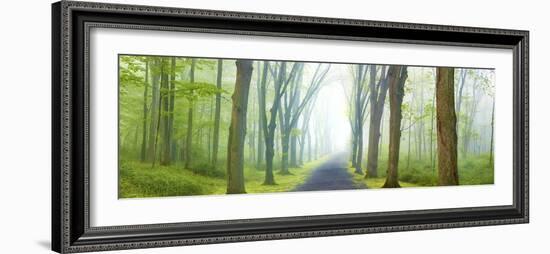 Country Road Panorama V-James McLoughlin-Framed Photographic Print