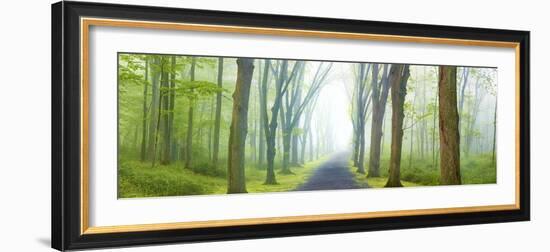 Country Road Panorama V-James McLoughlin-Framed Photographic Print