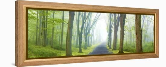 Country Road Panorama V-James McLoughlin-Framed Premier Image Canvas