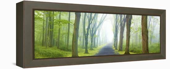 Country Road Panorama V-James McLoughlin-Framed Premier Image Canvas