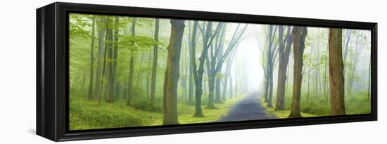 Country Road Panorama V-James McLoughlin-Framed Premier Image Canvas