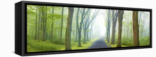 Country Road Panorama V-James McLoughlin-Framed Premier Image Canvas