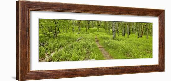 Country Road Panorama VI-James McLoughlin-Framed Photographic Print