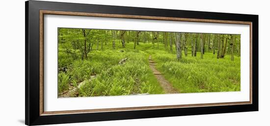 Country Road Panorama VI-James McLoughlin-Framed Photographic Print