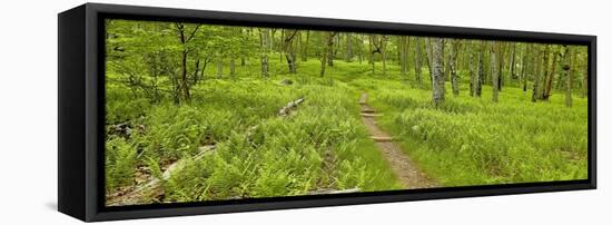 Country Road Panorama VI-James McLoughlin-Framed Premier Image Canvas