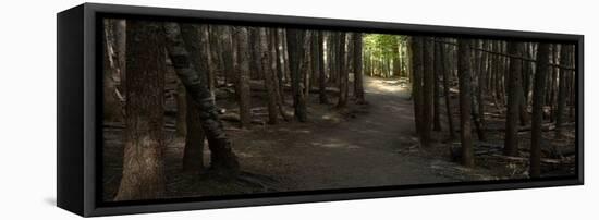 Country Road Panorama VII-James McLoughlin-Framed Premier Image Canvas