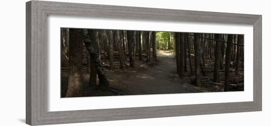 Country Road Panorama VII-James McLoughlin-Framed Photographic Print