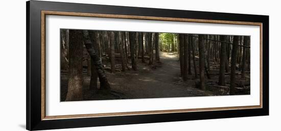 Country Road Panorama VII-James McLoughlin-Framed Photographic Print