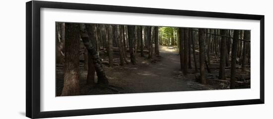 Country Road Panorama VII-James McLoughlin-Framed Photographic Print