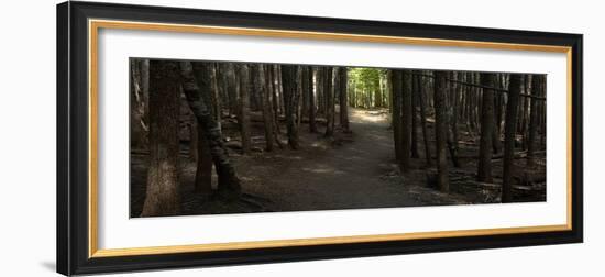 Country Road Panorama VII-James McLoughlin-Framed Photographic Print